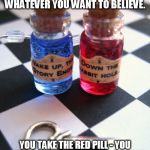 double edged trap | YOU TAKE THE BLUE PILL - YOU WAKE UP IN YOUR BED AND BELIEVE WHATEVER YOU WANT TO BELIEVE. YOU TAKE THE RED PILL - YOU STAY IN WONDERLAND AND BELIEVE WHATEVER YOU WANT TO BELIEVE. | image tagged in wonderland red pill blue pill,heads i win,tails you lose,memes | made w/ Imgflip meme maker