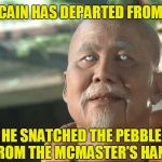 A Legend Has Departed | MCCAIN HAS DEPARTED FROM US; HE SNATCHED THE PEBBLE FROM THE MCMASTER'S HAND | image tagged in kung fu po,john mccain,memes | made w/ Imgflip meme maker