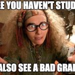 funny harry potter professor | I SEE YOU HAVEN'T STUDIED; I ALSO SEE A BAD GRADE | image tagged in funny harry potter professor | made w/ Imgflip meme maker