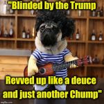 A new song parody from "Weird" Al Dogovic (Bruce won't like it) | "Blinded by the Trump; Revved up like a deuce; and just another Chump" | image tagged in ukelele pug,trump derangement syndrome,third party,trump,party of haters | made w/ Imgflip meme maker