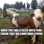 WTF Cow | WHEN YOU TAKE A SELFIE WITH YOUR FRIEND THAT DID SOMETHING STUPID | image tagged in wtf cow | made w/ Imgflip meme maker