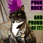 PUNK ROCK | I'M PUNK ROCK AND PROUD OF IT! | image tagged in punk rock | made w/ Imgflip meme maker
