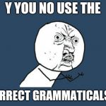 Y you do this to me | Y YOU NO USE THE; CORRECT GRAMMATICALS?! | image tagged in y you do this to me | made w/ Imgflip meme maker