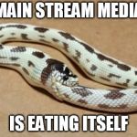 Snake Eating Itself | MAIN STREAM MEDIA; IS EATING ITSELF | image tagged in snake eating itself | made w/ Imgflip meme maker