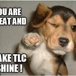 Winking puppy | YOU ARE GREAT AND; MAKE TLC SHINE ! | image tagged in winking puppy | made w/ Imgflip meme maker
