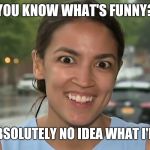Alexandria Ocasio-Cortez | YOU KNOW WHAT'S FUNNY? I HAVE ABSOLUTELY NO IDEA WHAT I'M DOING! | image tagged in alexandria ocasio-cortez | made w/ Imgflip meme maker