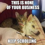 cat, dog & knife | THIS IS NONE OF YOUR BUSINESS; KEEP SCROLLING | image tagged in cat dog & knife | made w/ Imgflip meme maker