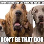 surprised dogs | WHAT YOUR FRIENDS LOOK LIKE WHEN YOU RUN OUT OF WINE; DON'T BE THAT DOG | image tagged in surprised dogs | made w/ Imgflip meme maker