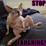 STOP | STOP; LAUGHING! | image tagged in stop | made w/ Imgflip meme maker