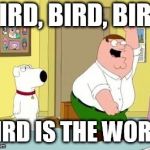 Peter Griffing the bird is the word | BIRD, BIRD, BIRD; BIRD IS THE WORD. | image tagged in peter griffing the bird is the word | made w/ Imgflip meme maker