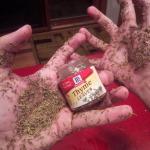 too much thyme on my hands