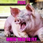 Laughing Pig | PIGS; WHEN TOLD TO FLY | image tagged in laughing pig | made w/ Imgflip meme maker