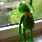 Kermit - Out the window - waiting meme