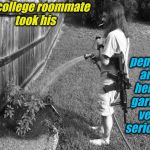 I was going through some boxes and found pics from my college days | pepper and herbs garden very seriously; My college roommate took his | image tagged in college roommate watering his pepper garden,memes,evilmandoevil,funny,ar15 | made w/ Imgflip meme maker