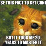 Pretty Please Cat | I USE THIS FACE TO GET CANDY; BUT IT TOOK ME 20 YEARS TO MASTER IT | image tagged in pretty please cat | made w/ Imgflip meme maker