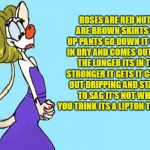 poem | ROSES ARE RED NUTS ARE BROWN SKIRTS GO UP PANTS GO DOWN IT GOES IN DRY AND COMES OUT WET THE LONGER ITS IN THE STRONGER IT GETS IT COMES OUT DRIPPING AND STARTS TO SAG IT'S NOT WHAT YOU THINK ITS A LIPTON TEA BAG. | image tagged in pinky,poem | made w/ Imgflip meme maker