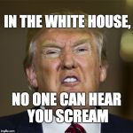 In the White House, no one can hear you scream. | IN THE WHITE HOUSE, NO ONE CAN HEAR YOU SCREAM | image tagged in trump,donald trump,maga,gop,fraud | made w/ Imgflip meme maker