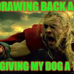 I have learned to just drop whatever I am feeding him in mid-air to avoid getting my hand eaten.  | ME, DRAWING BACK A NUB; AFTER GIVING MY DOG A TREAT. | image tagged in thor,memes,nixieknox | made w/ Imgflip meme maker