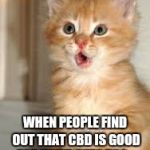 Funny animals | WHEN PEOPLE FIND OUT THAT CBD IS GOOD FOR THEIR PETS TOO... | image tagged in funny animals | made w/ Imgflip meme maker