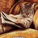Cat with Glasses | ALASKAN EYE DOCTORS ARE JUST; OPTICAL ALEUTIANS. | image tagged in cat with glasses | made w/ Imgflip meme maker