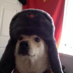 communist dog | I DECLARE WALKS EVERY HOUR; FOR EVERYONE!!!! | image tagged in communist dog | made w/ Imgflip meme maker