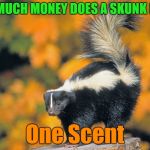 That "One Scent" is just enough | HOW MUCH MONEY DOES A SKUNK HAVE? One Scent | image tagged in skunk,memes,skunk jokes,scents,animals | made w/ Imgflip meme maker