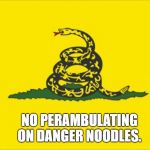 Danger noodle | NO PERAMBULATING ON DANGER NOODLES. | image tagged in danger noodle | made w/ Imgflip meme maker