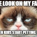 not funny | THE LOOK ON MY FACE, WHEN KIDS START PETTING ME... | image tagged in not funny | made w/ Imgflip meme maker