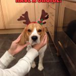 Grumpy Beagle Hates cristmas | YOU THINK I HAVE A CHOICE! | image tagged in grumpy beagle hates cristmas | made w/ Imgflip meme maker