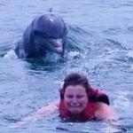 Dangerous Dolphin