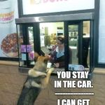 dog at dunkin | YOU STAY IN THE CAR.  --------------- I CAN GET MY OWN DONUT | image tagged in dog at dunkin | made w/ Imgflip meme maker