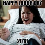 Happy labor day | HAPPY LABOR DAY; 2018 | image tagged in labor,holidays,funny,memes | made w/ Imgflip meme maker