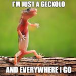 Dancing Gecko | I'M JUST A GECKOLO; AND EVERYWHERE I GO | image tagged in dancing gecko,david lee roth,i'm just a gigolo | made w/ Imgflip meme maker