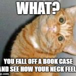 Cat has a question | WHAT? YOU FALL OFF A BOOK CASE AND SEE HOW YOUR NECK FEELS | image tagged in cat has a question | made w/ Imgflip meme maker