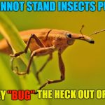 Quit with the "Bugging"  | I CANNOT STAND INSECTS PUNS; THE HECK OUT OF ME; "BUG"; THEY | image tagged in happy insect,memes,insects,insects puns,bugs | made w/ Imgflip meme maker