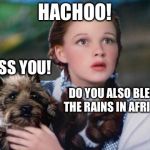 Toto Wizard of Oz | HACHOO! BLESS YOU! DO YOU ALSO BLESS THE RAINS IN AFRICA? | image tagged in toto wizard of oz | made w/ Imgflip meme maker