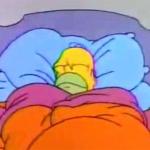 Homer bed