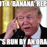orange republican | ITS NOT A 'BANANA' REPUBLIC; IF IT'S RUN BY AN ORANGE | image tagged in trump stable genius,memes,orange republic,trump,banana republic | made w/ Imgflip meme maker