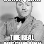 Curly | CURLY Q LINK; THE REAL MISSING LINK | image tagged in curly | made w/ Imgflip meme maker
