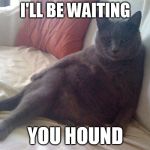 Seductive Cat | I'LL BE WAITING; YOU HOUND | image tagged in seductive cat,cat,sexy cat,sexy | made w/ Imgflip meme maker