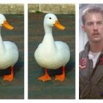 Duck Duck Goose meme