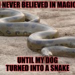 Anaconda | I NEVER BELIEVED IN MAGIC; UNTIL MY DOG TURNED INTO A SNAKE | image tagged in anaconda | made w/ Imgflip meme maker