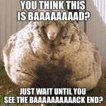 Baaaaad Joke | YOU THINK THIS IS BAAAAAAAAD? JUST WAIT UNTIL YOU SEE THE BAAAAAAAAAACK END? | image tagged in wooly sheep,memes,toilet humor,back,bathroom humor,clean | made w/ Imgflip meme maker