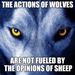 wolf | THE ACTIONS OF WOLVES; ARE NOT FUELED BY THE OPINIONS OF SHEEP | image tagged in wolf,motivation,inspirational quote | made w/ Imgflip meme maker