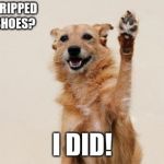 I Did it | WHO RIPPED MY SHOES? I DID! | image tagged in i did it | made w/ Imgflip meme maker