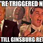 Trump Good Fellas | THEY'RE TRIGGERED NOW? WAIT TILL GINSBURG RETIRES | image tagged in trump good fellas,ruth bader ginsburg,supreme court,maga,trump 2020 | made w/ Imgflip meme maker