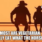 Cowboy father and son | DAD WHY ARE LIBERALS SO ANGRY? SON MOST ARE VEGETARIAN, THEY BASICALLY EAT WHAT THE HORSES DROP. | image tagged in cowboy father and son | made w/ Imgflip meme maker