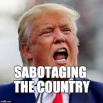Sabotaging the country. | SABOTAGING THE COUNTRY | image tagged in trump,donald trump,fraud,con artist | made w/ Imgflip meme maker