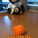 I Chezz | HELO CHEZZHEDDS. BIGG TEDIE ISA STELL CHASSING MEY | image tagged in i chezz | made w/ Imgflip meme maker