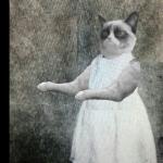 Overly manly toddler grumpy cat